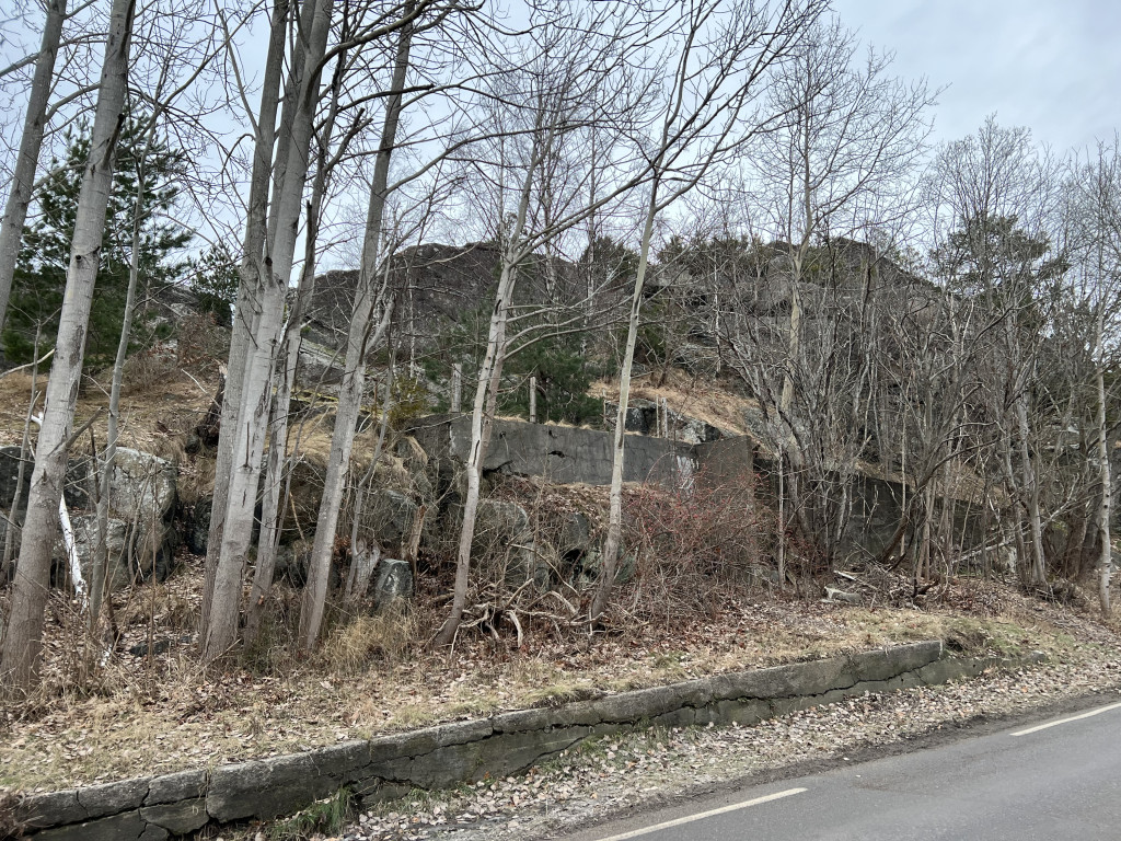 Haneholmveien 11