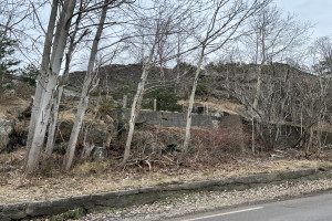 Haneholmveien 11