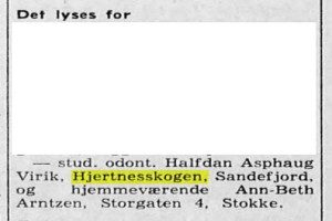 Leikvollgata 68, "Skaubu"