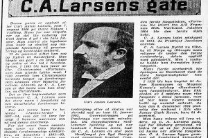 C. A. Larsens gate