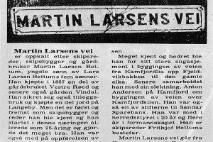 Martin Larsens vei