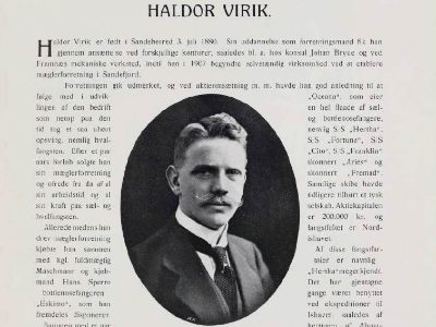 Haldor Virik