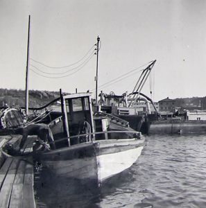 Hesteskoen - småbåthavn