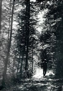 Hjertås