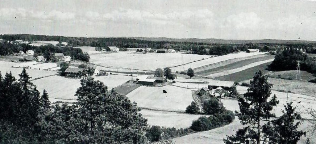 Lingelem