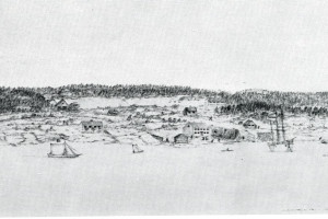 26 - Gonvika