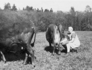 Mjølløst Nordre