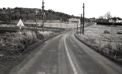 Freberg