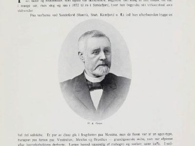 P. A. Grøn