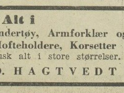 D. Hagtvedt manufakturforretning