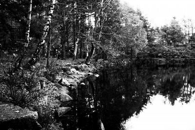 Brydedammen