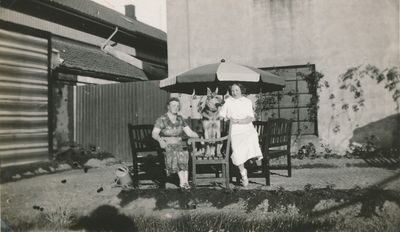 Havnekafeen