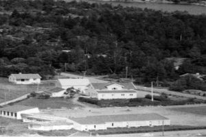 Vesterøy skole (tidl. Buer skole)