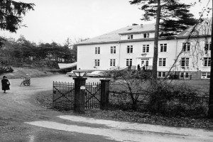 Brydedamveien