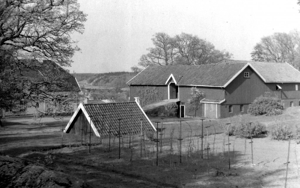 Øvre Gokstadvei