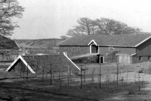 Øvre Gokstadvei