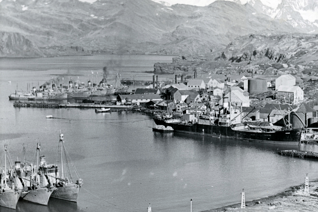 LEITH HARBOUR