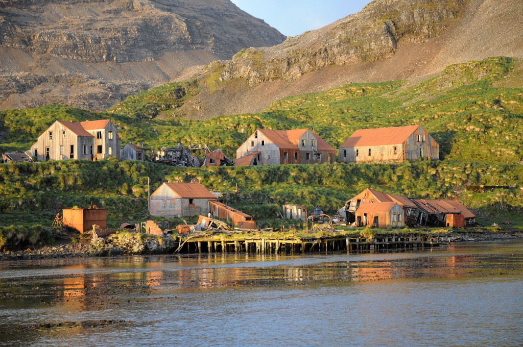 OCEAN HARBOUR