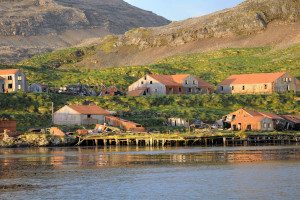 OCEAN HARBOUR