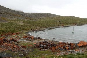 PRINCE OLAV HARBOUR