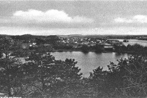Brydedammen