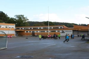 Vesterøya - Gokstad skole