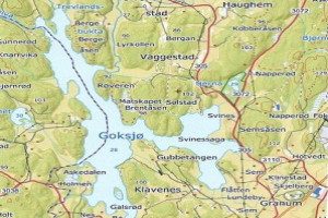 Goksjø med omegn