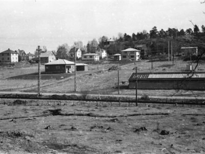 Vestfold Orgelbygg