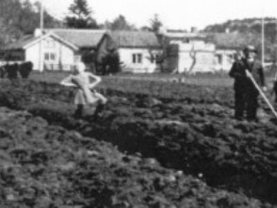 Gårdsbruk Vesterøya