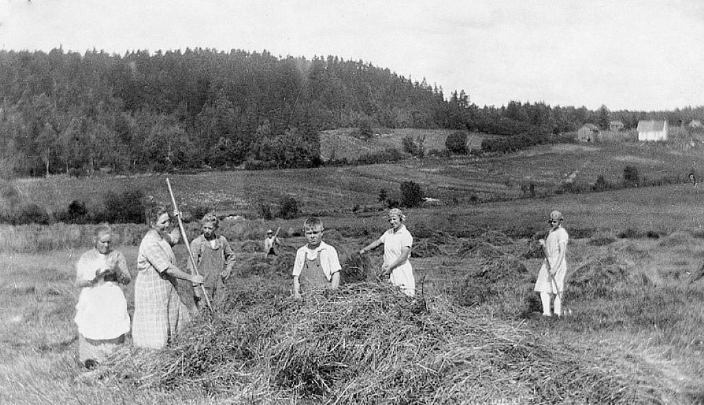 Helgerødområdet - fra Blåstein til Skravestad og Østre Nes