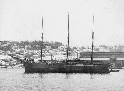 FLOREANA
