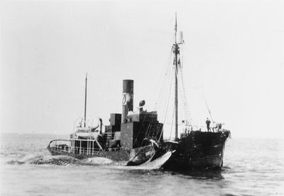 GUN 4