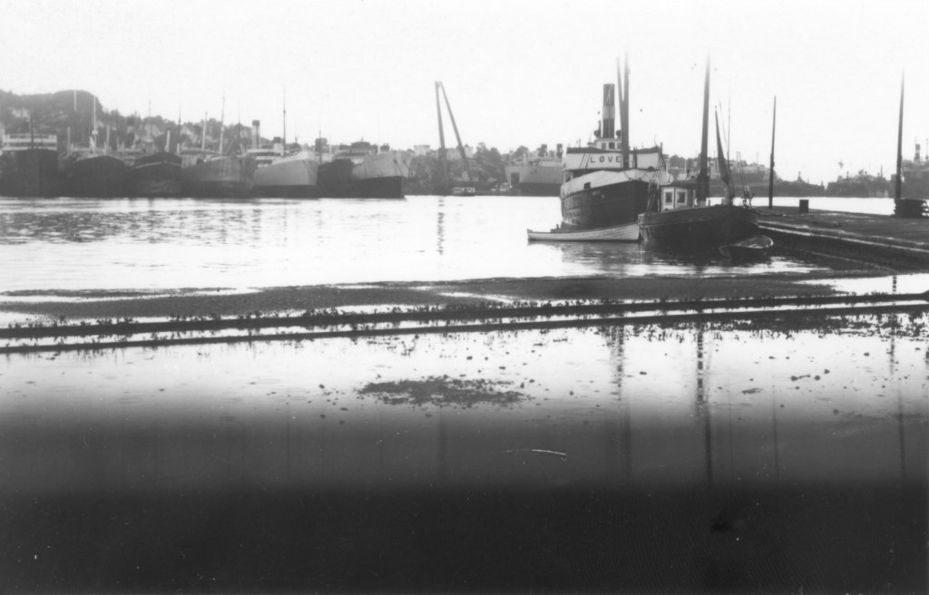 LØVEN
