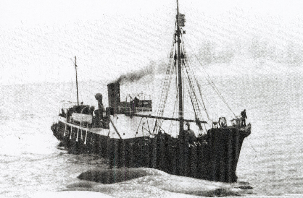 VIKINGEN VII