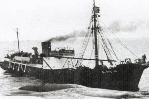 VIKINGEN VII