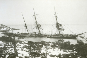 PALLAS