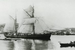 SØBLOMSTEN