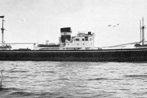 MAJORKA (2)