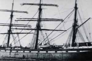 FREMAD I