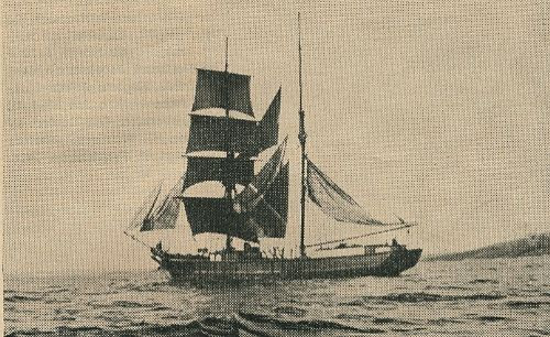 DAGMAR