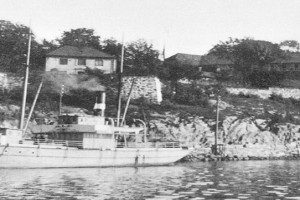 GYLDENLØVE III