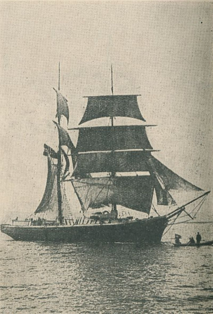 SALUS