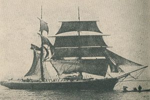 SALUS