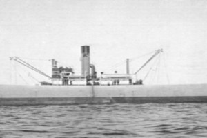 FREDA