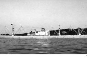 VIKDAL