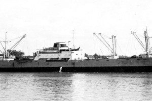 NARDO