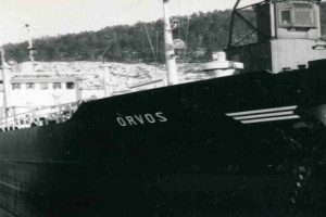 ORVOS