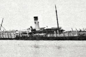 ROWENA (1)