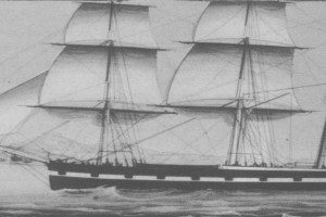 HAVFRUEN