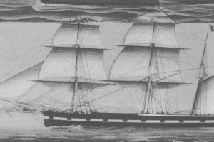 HAVFRUEN